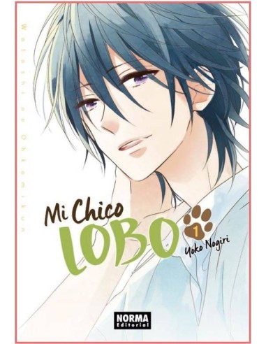 Mi Chico Lobo N1