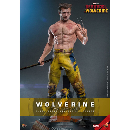 Figurine – HotToys MMS756 Deadpool & Wolverine 1/6 Wolverine (TVA Jacket Version) 31 cm