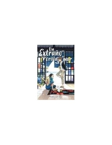 Un Extraño a la Orilla del Mar – Livre