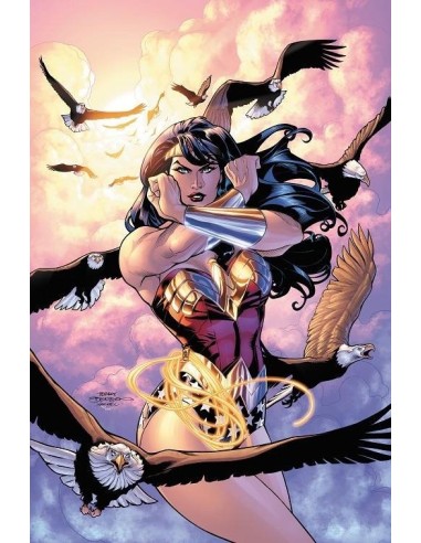 Wonder Woman: ¿Quién es Wonder Woman? (DC Pocket) – Comic