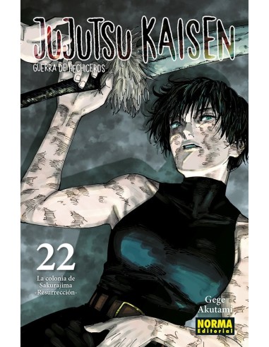 Jujutsu Kaisen – Tome 22