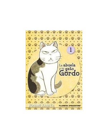 Abuela y Su Gato Gordo 1