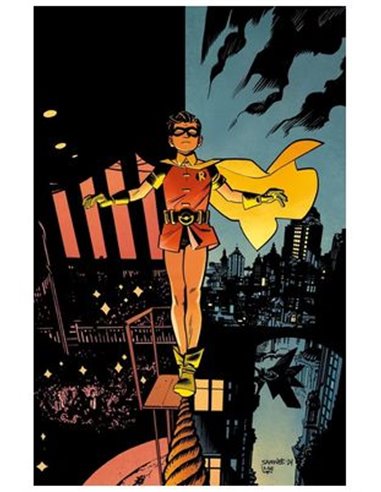 Batman y Robin Año Uno – Volume 6